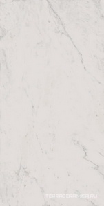 Melody MO01 white непол. 30.6x60.9
