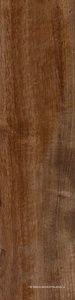 Tabula Cappuccino XX |15x61