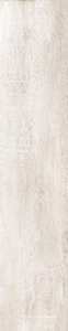 GreenWood Bianco|24x120
