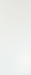 Solid White Matt 50x120 ZZ