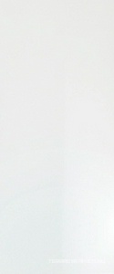 Solid White Glossy 50x120 ZZ