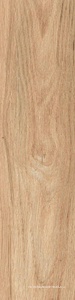 Oslo beige PG 01 |12.5x50