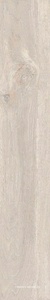 Daintree DA01 light beige неполир.19.4x120