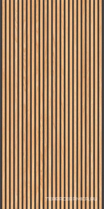 Canne Honey Black 60x120