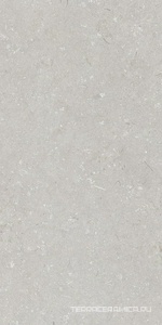 Shellstone Bianco 60x120