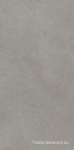 Starck Grey 20.1х40.5