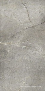 Mask Silver 60x120