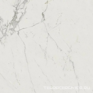 Marvel Calacatta Extra Lappato ZZ 120x120