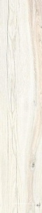 Daring Ivory |24x120