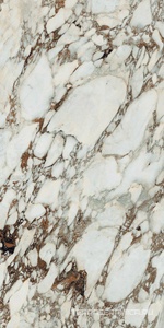 Bijoux Breche Capraia Glossy 60x120