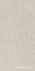 Shellstone Beige 60x120