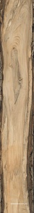 Sherwood Oak |24x150