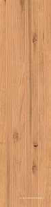 Rive Acqua Riva Tatami 20x80 / Риве Аква Рива Татами 20x80