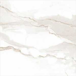 Roma Calacatta Matt RT ZZ |60x60