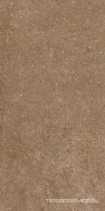 Arkaim Brown G214/Аркаим коричневый мат 60x120