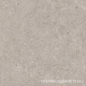 Риккарди серый светлый матовый обрезной 60x60