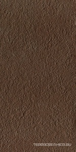 M2.0 RB36T ZZ |30x60