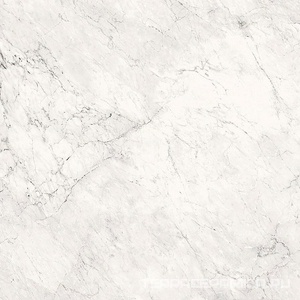 AE CAL6 120 LP (п.п.)ZZ |120x120