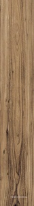 YKSG6 2012TN RM ZZ (п.п.) 20х120