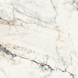 AE PAO6 120 LP (п.п.)ZZ |120x120