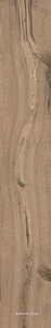 Rovere Scuro Nat |16x100