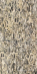 GHEPARD6 12LP XX 60x120