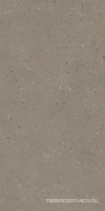 Астеро RO02  серый непол. рект. 60x120 ZZ