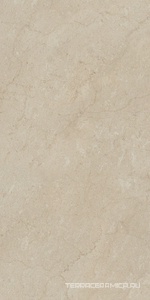 Элемента AEM01 бежевый непол. рект. 60x120 ZZ