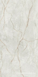 Mgnovenie 2141 Светло-серый матовый  60x120