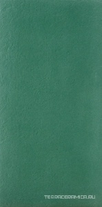 Avocado6 12 (п.п.) ZZ 60x120
