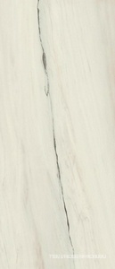 Marvel Bianco Fantastico Matt ZZ 120x278