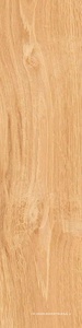 Аргания бежевый матовый 9,9x40,2x0,8