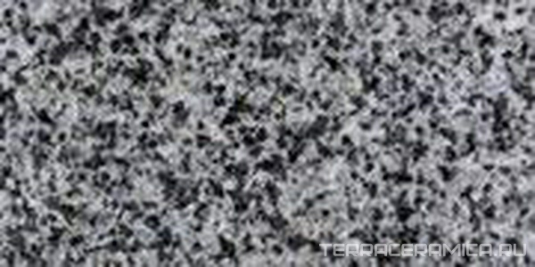 EC6541 Гранит Polished |30х60x1.5