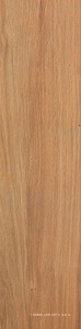 Etic Rovere Venice ZZ 22.5x90