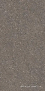 Чеппо ди Гре коричневый матовый обрезной 119,5x238,5
