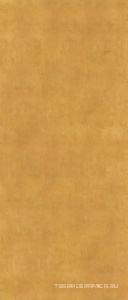 Gold Glossy ZZ 120x280
