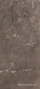 Heritage Brown Glossy 120x280