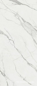 Statuario Premium Lux |120x280