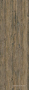 Plank BG 111 5.5 mm 100x300