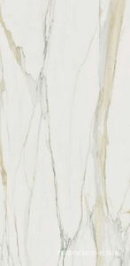 Calacatta Gold Glossy ZZ 120x240