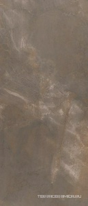 TREX6 278TO LP (п.п.) ZZ 120x278