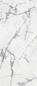 Canova Invisible White Lappato 120x280