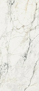 AE PAO6 278 LP 120x278