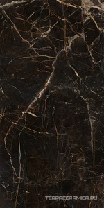Cr.Lux Laurants Brown 6 мм pol/rett |120X260 XXZZ