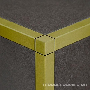 ZQAN/100/EI Наружный /внутренный  угол gold для n006132