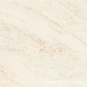 Oyster White 120x120