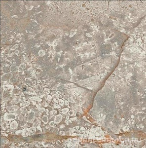 Empire Silver Root Bottone Lap/ЭМПАИР СИЛЬВЕР РУТ ВСТАВКА ЛАП 7,2x7,2