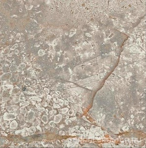 Empire Silver Root Bottone /ЭМПАИР СИЛЬВЕР РУТ ВСТАВКА 7,2x7,2