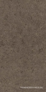Boost Stone Tobacco ZZ 60x120 
