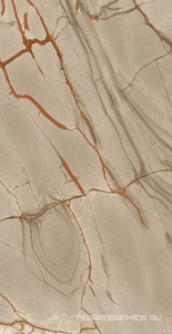 Rainforest Matte PTV - R10 PTV ZZ 60x120